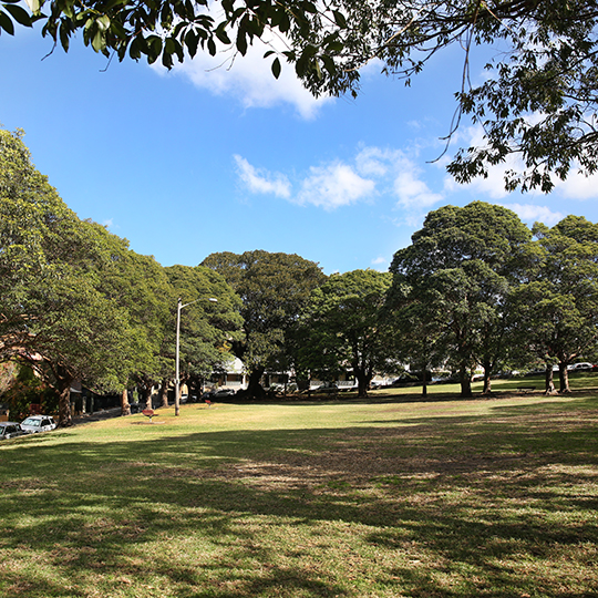  Punch Park view